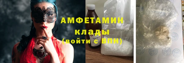 стаф Алзамай