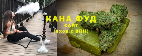 стаф Алзамай