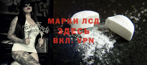 стаф Алзамай